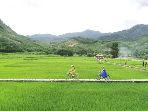 TOUR HUẾ MỘT NGÀY ĐI A LƯỚI